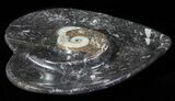 Heart Shaped Fossil Goniatite Dish #61286-1